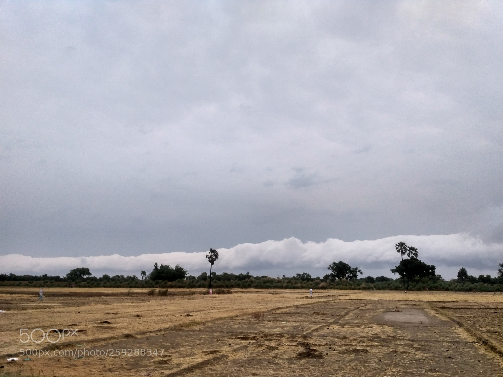 Xiaomi Redmi 3S sample photo. Hdr photography