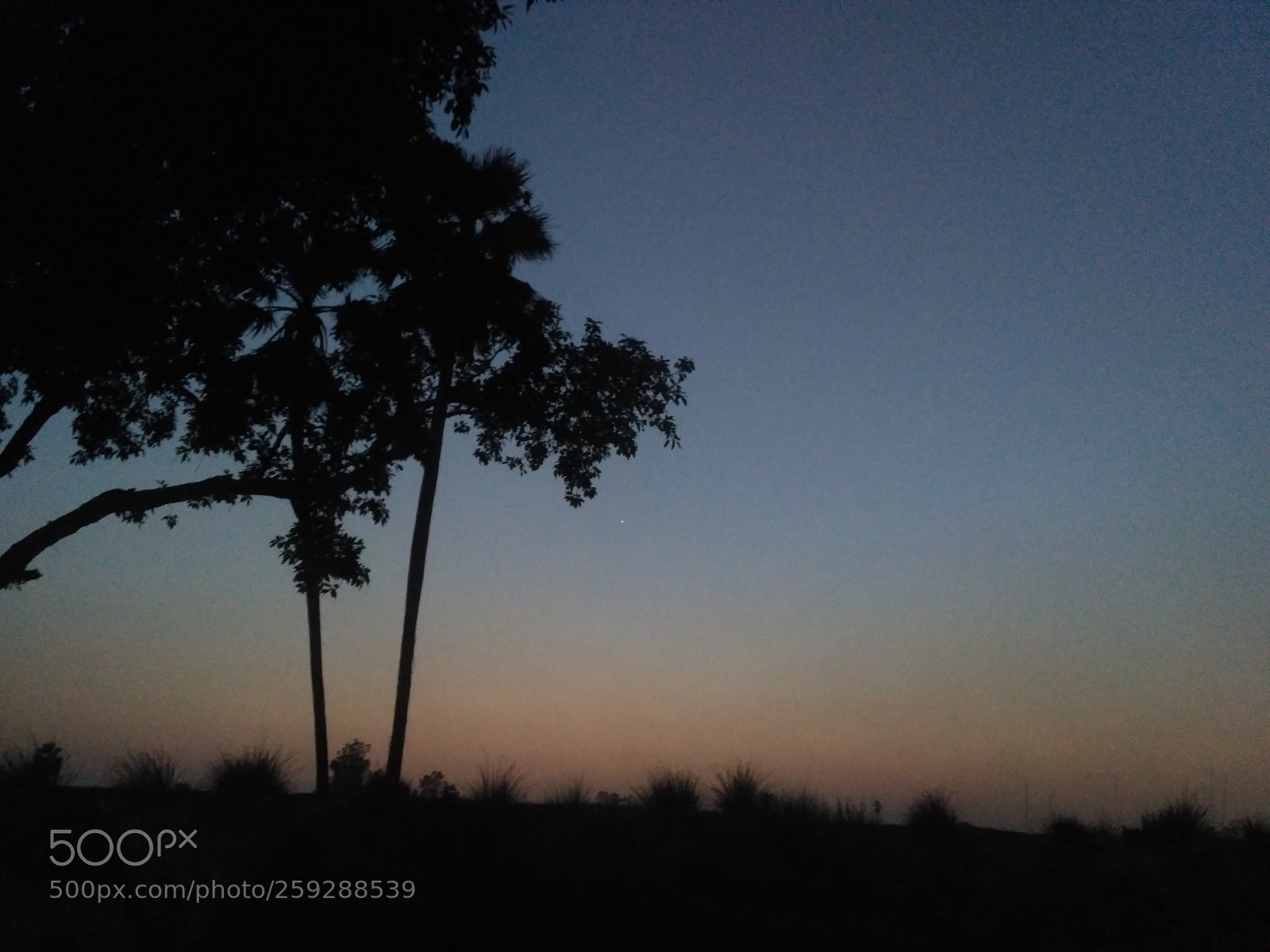 Xiaomi Redmi 3S sample photo. Img_20180413_184020.jpg photography