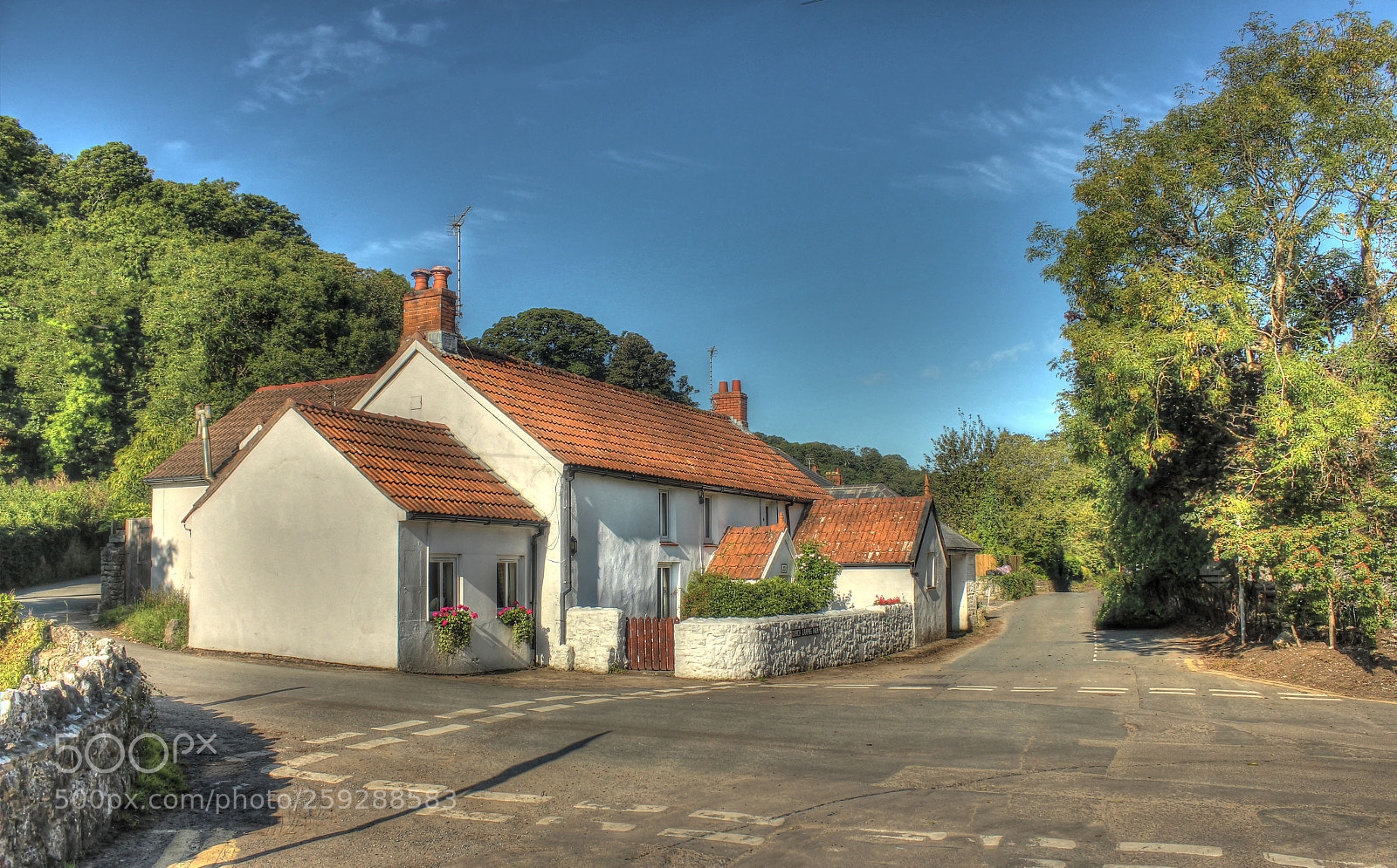 Canon EOS 600D (Rebel EOS T3i / EOS Kiss X5) sample photo. Bull croft oxwich bay photography