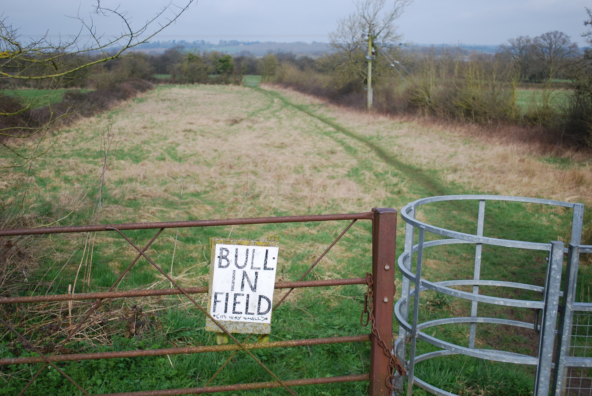 Nikon D60 sample photo. No bull photography