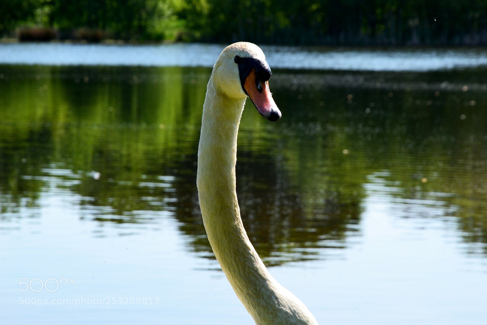 Nikon D3100 sample photo. Untitled photography