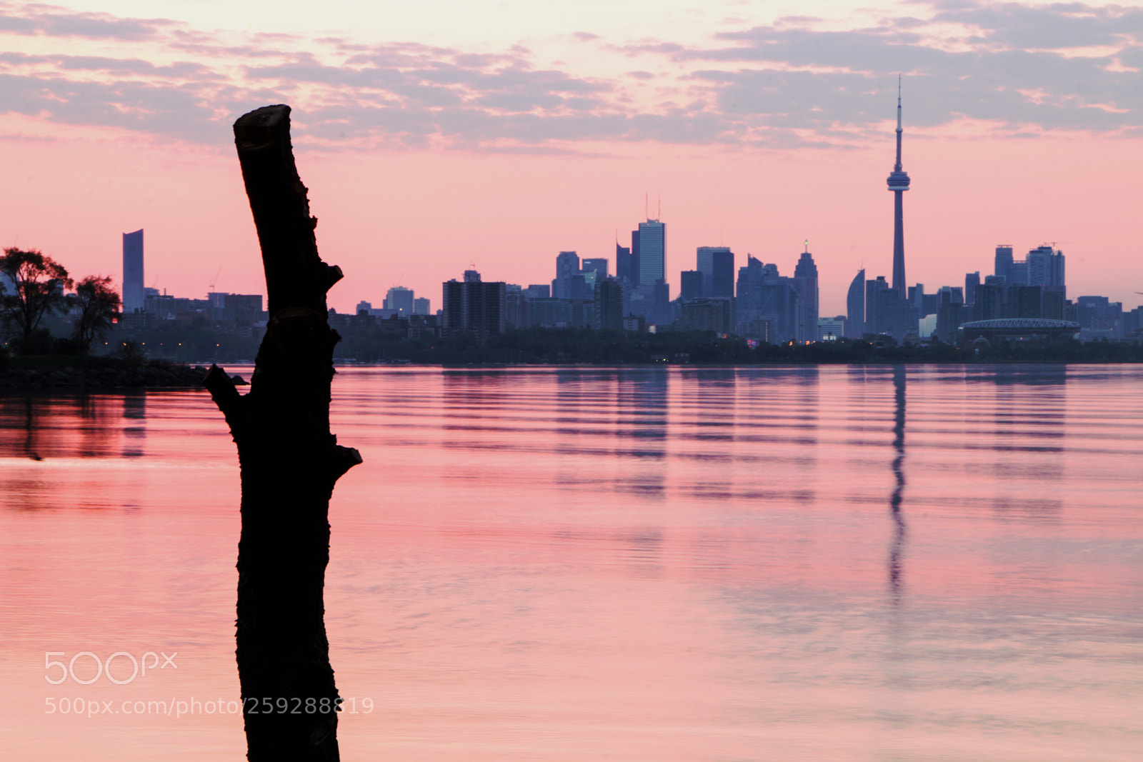 Canon EOS 70D sample photo. Stump and tower photography