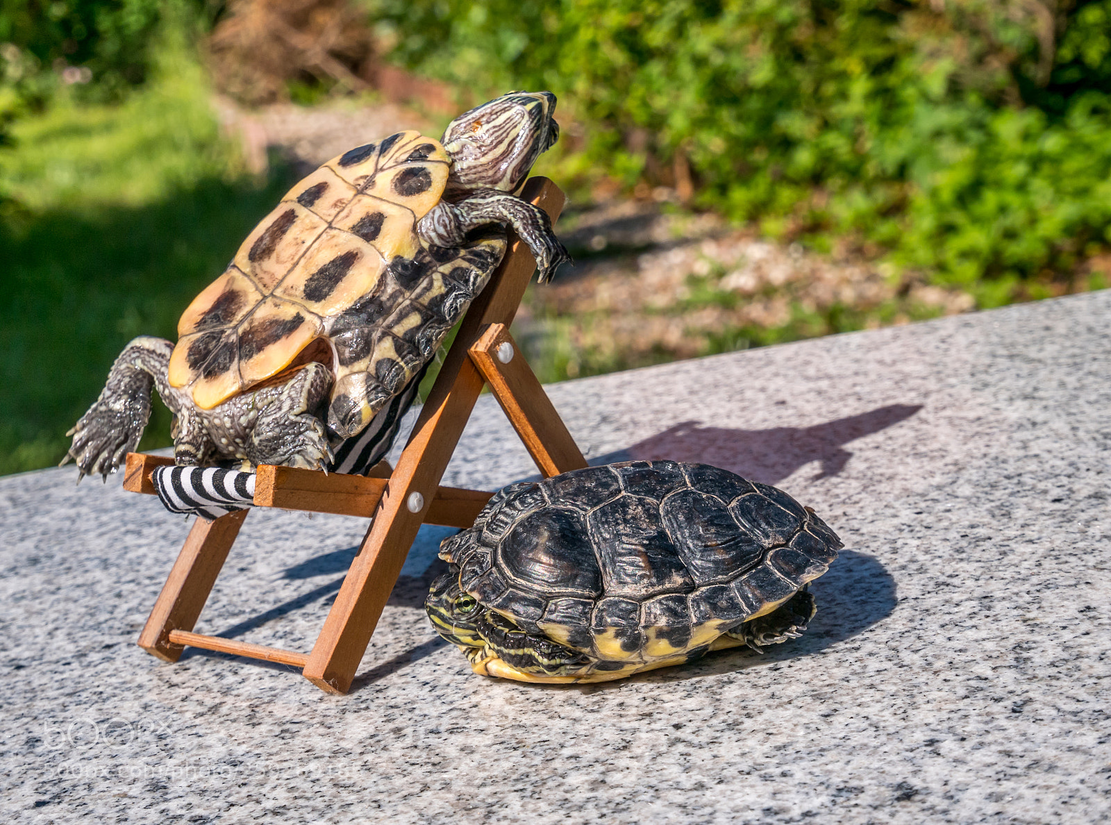 Panasonic Lumix DMC-GX85 (Lumix DMC-GX80 / Lumix DMC-GX7 Mark II) sample photo. Fun in the sun photography