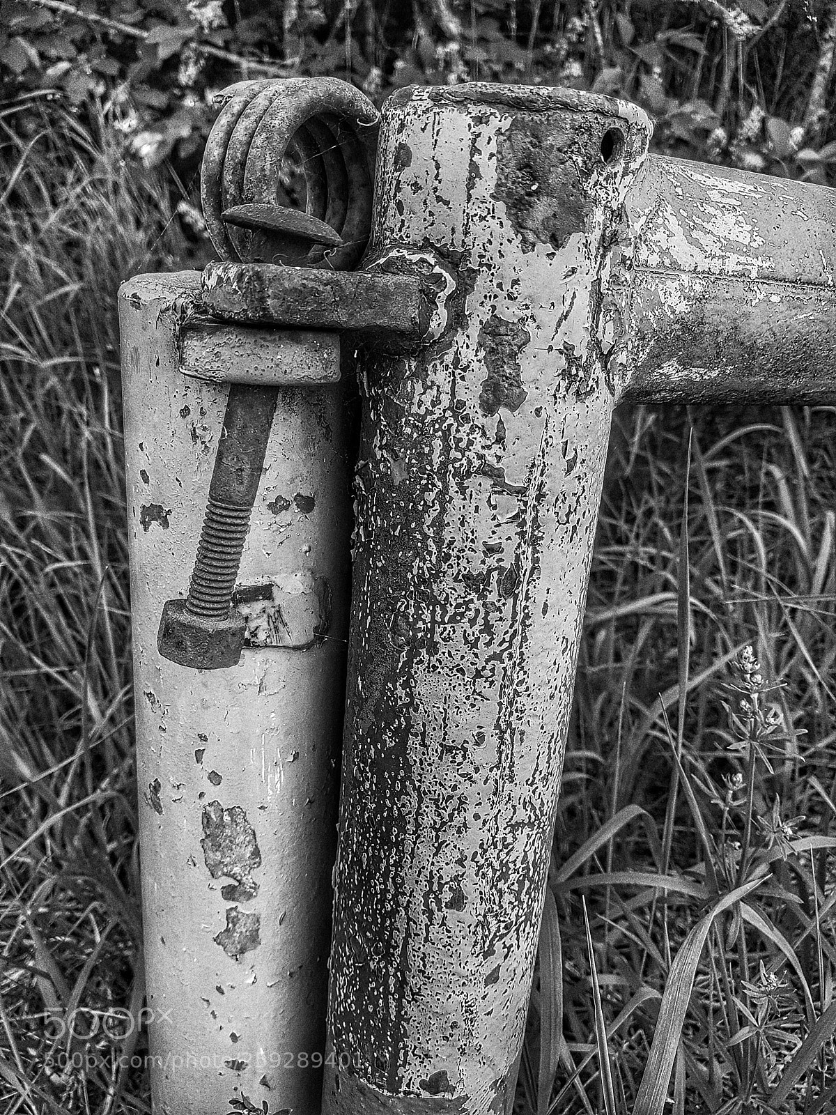 Samsung Galaxy S7 sample photo. Untitled photography