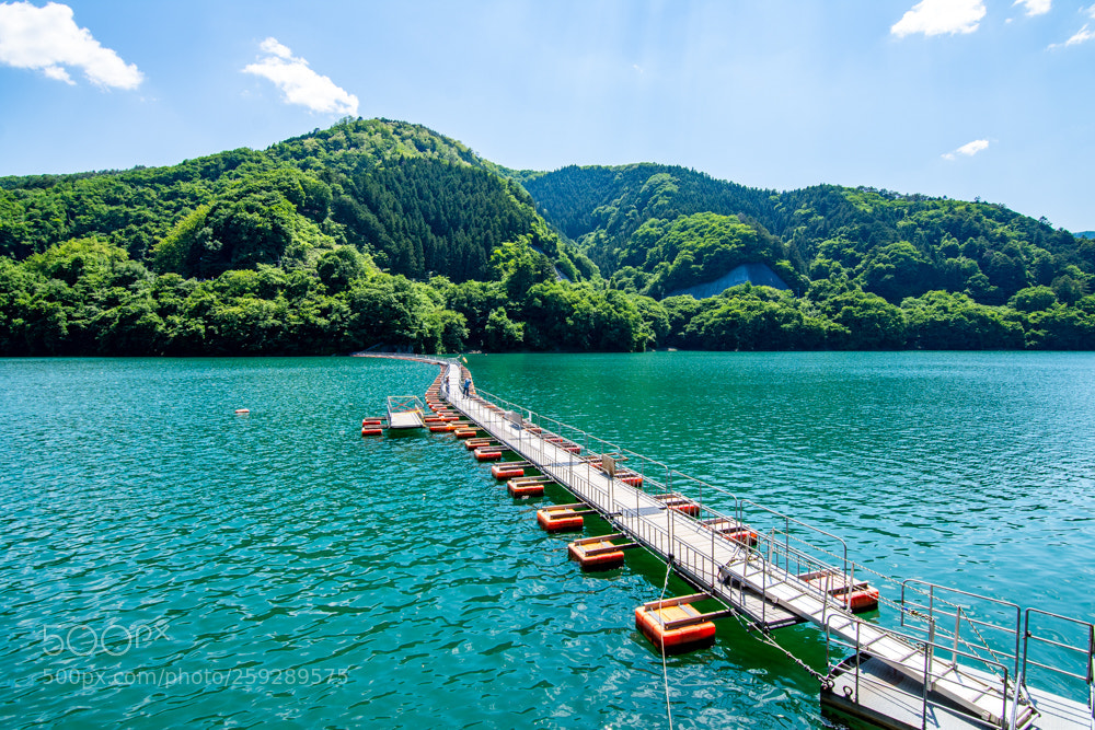 Nikon D7200 sample photo. Floating bridge in fresh photography
