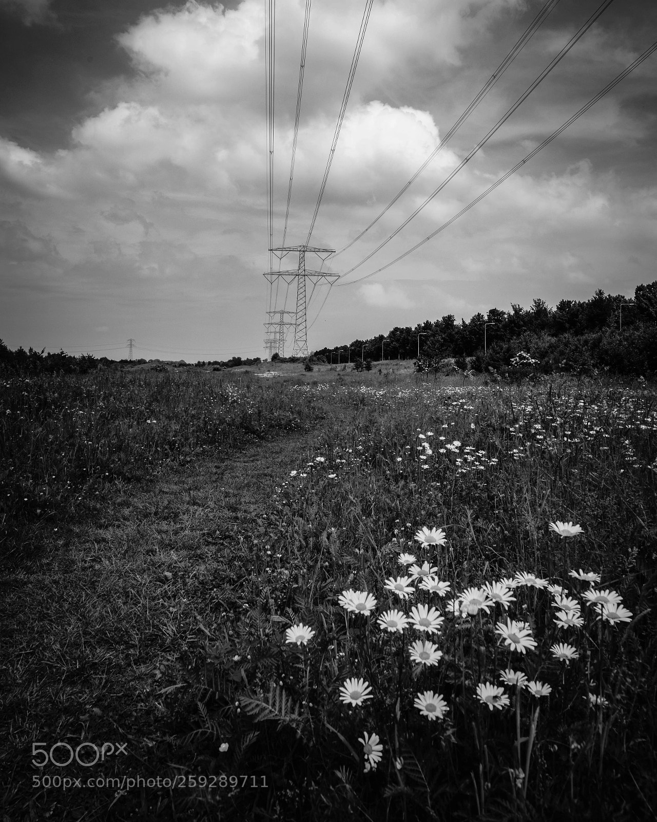 Fujifilm X-T2 sample photo. Untitled photography