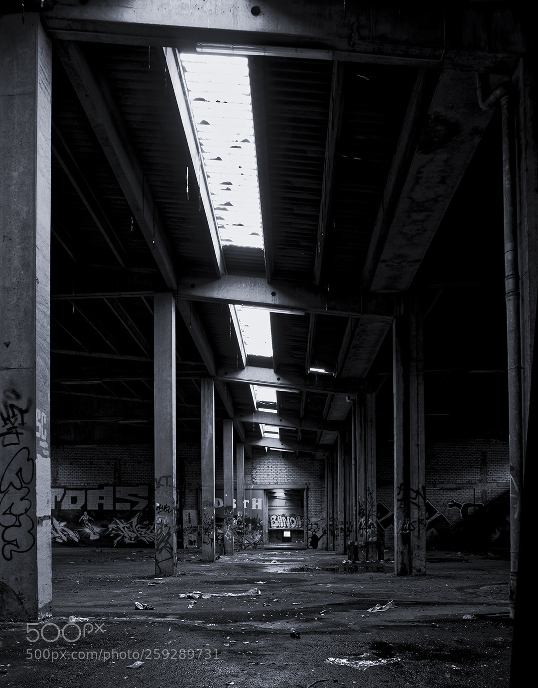 Pentax K-3 II sample photo. Afterlife photography