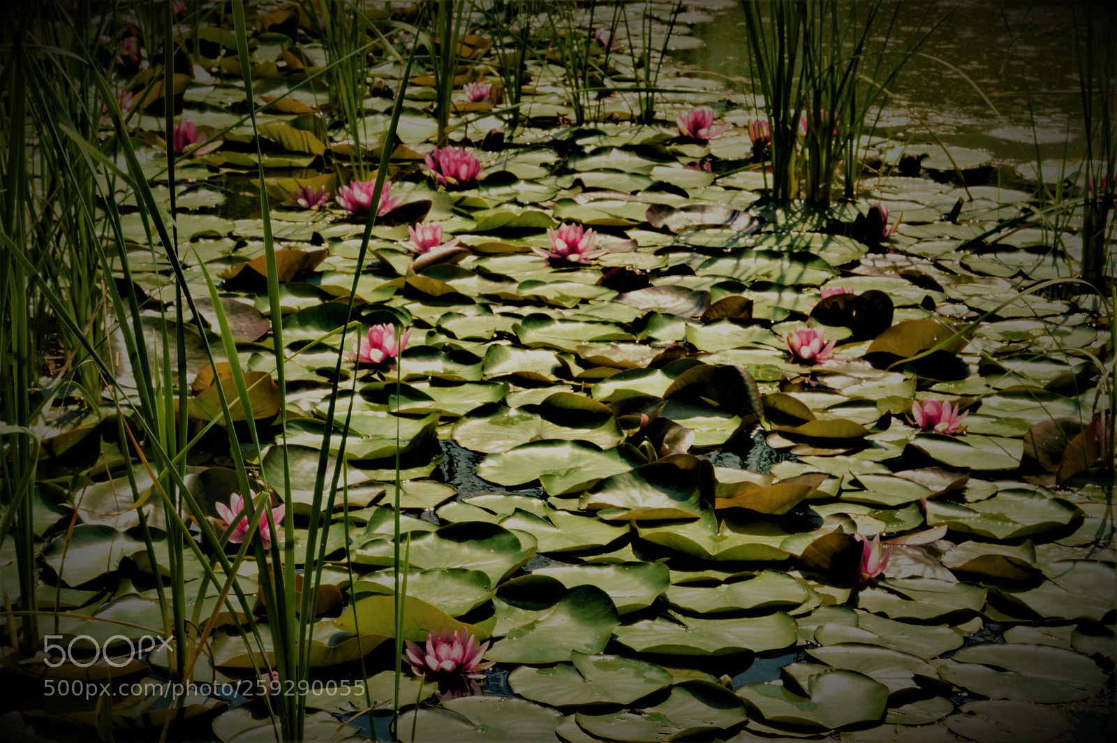 Nikon D3200 sample photo. () photography