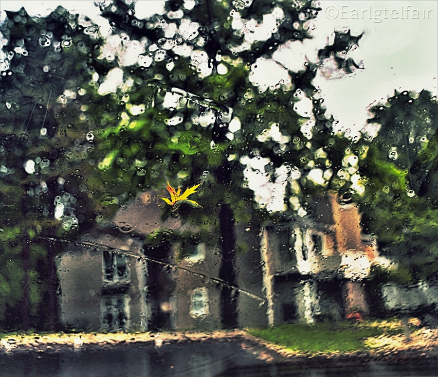Nikon D5300 sample photo. Leaf on the windshield photography
