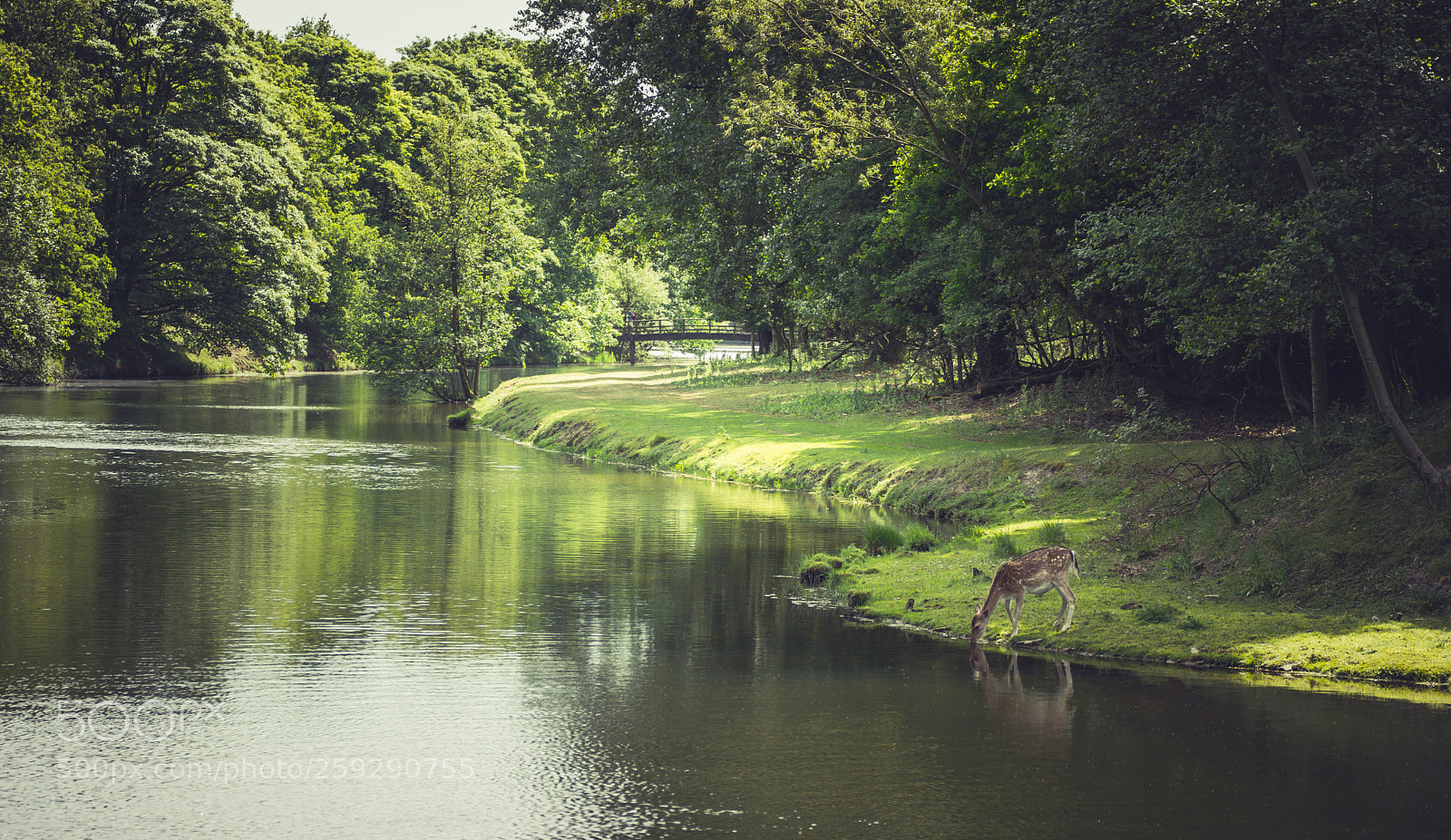 Sony a6000 sample photo. Just like a fairytale photography