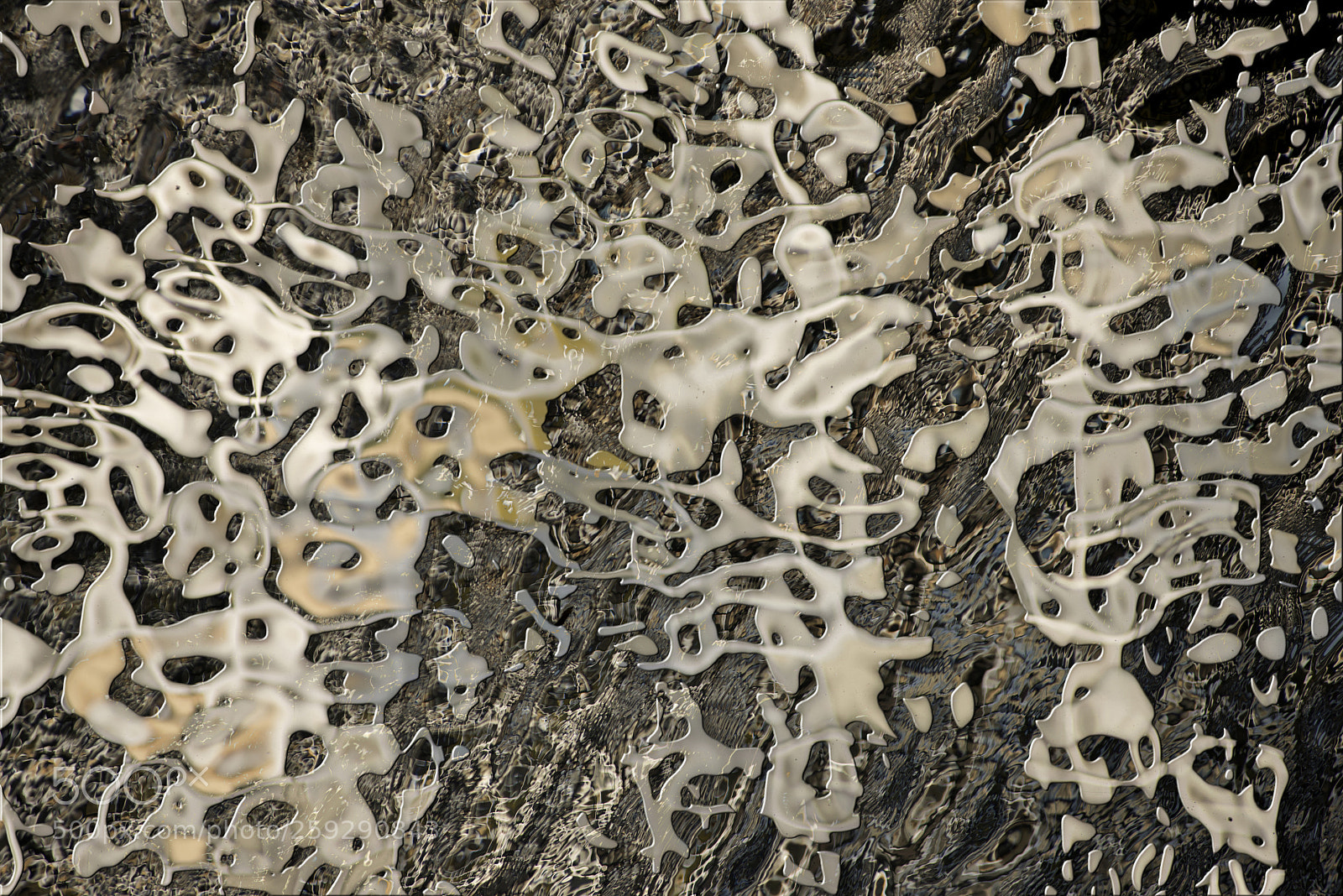 Nikon D600 sample photo. Solar abstractions 6 photography