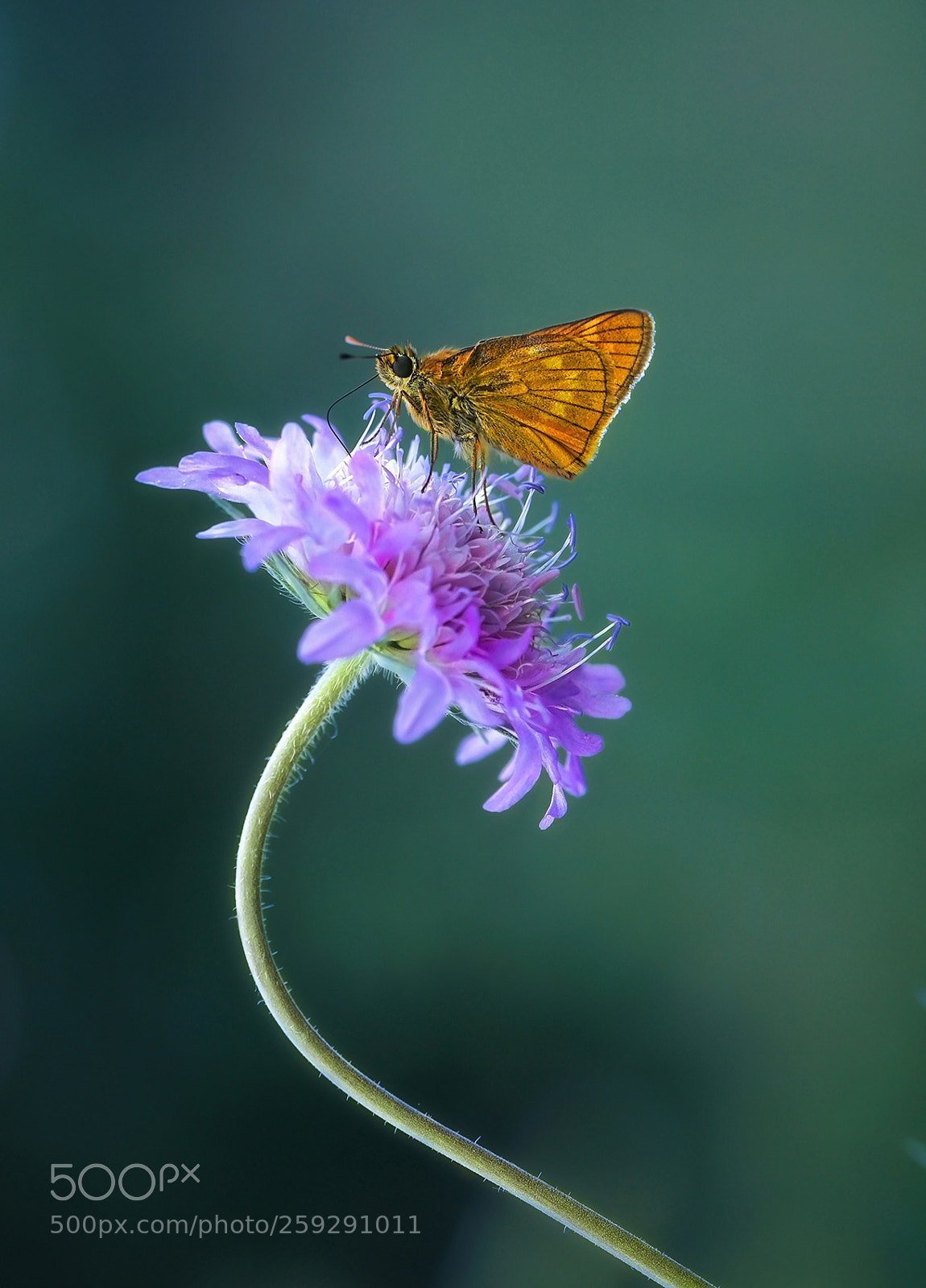 Sony a6000 sample photo. Curve photography