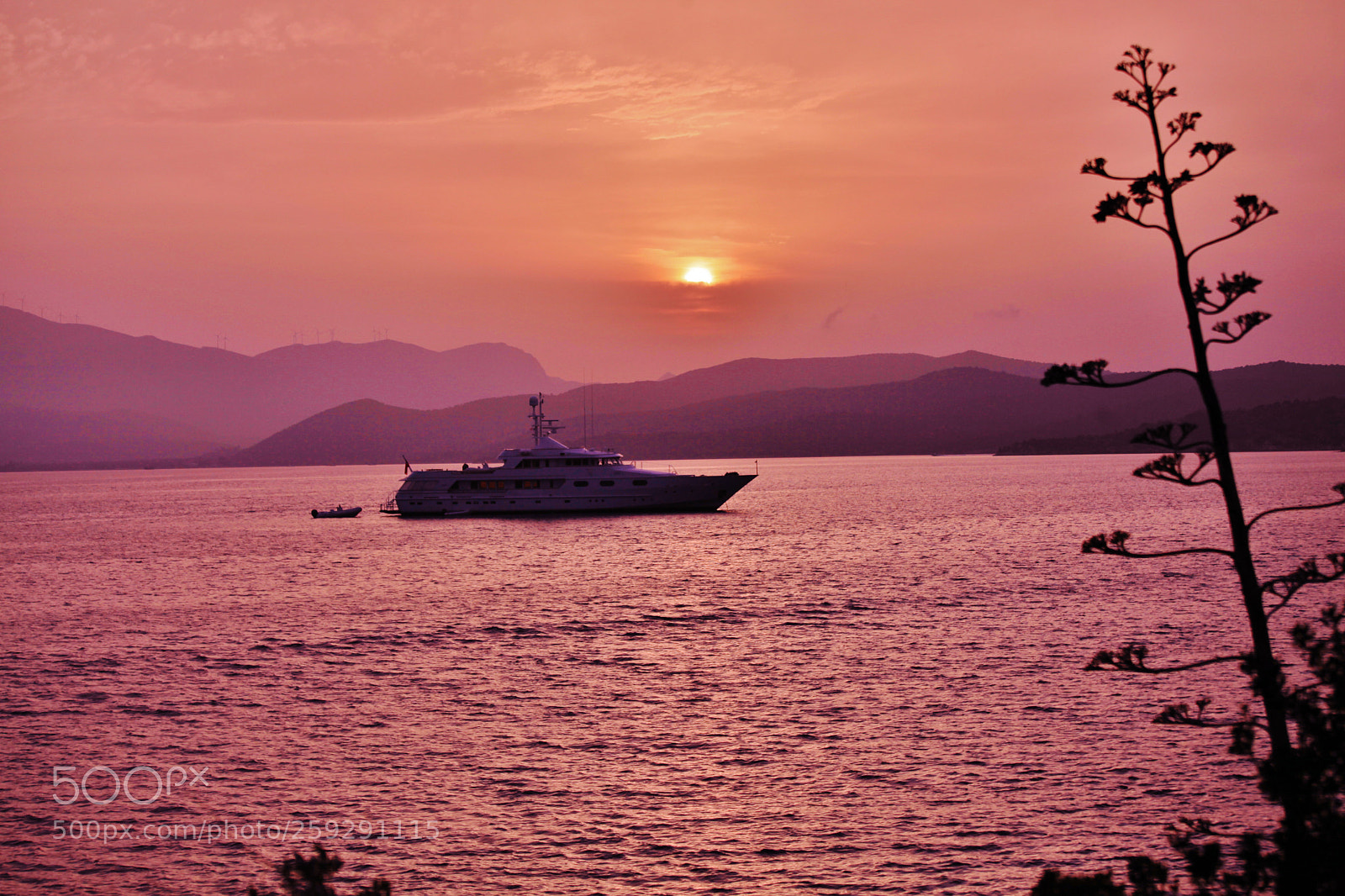 Canon EOS 5D Mark II sample photo. Joke photography