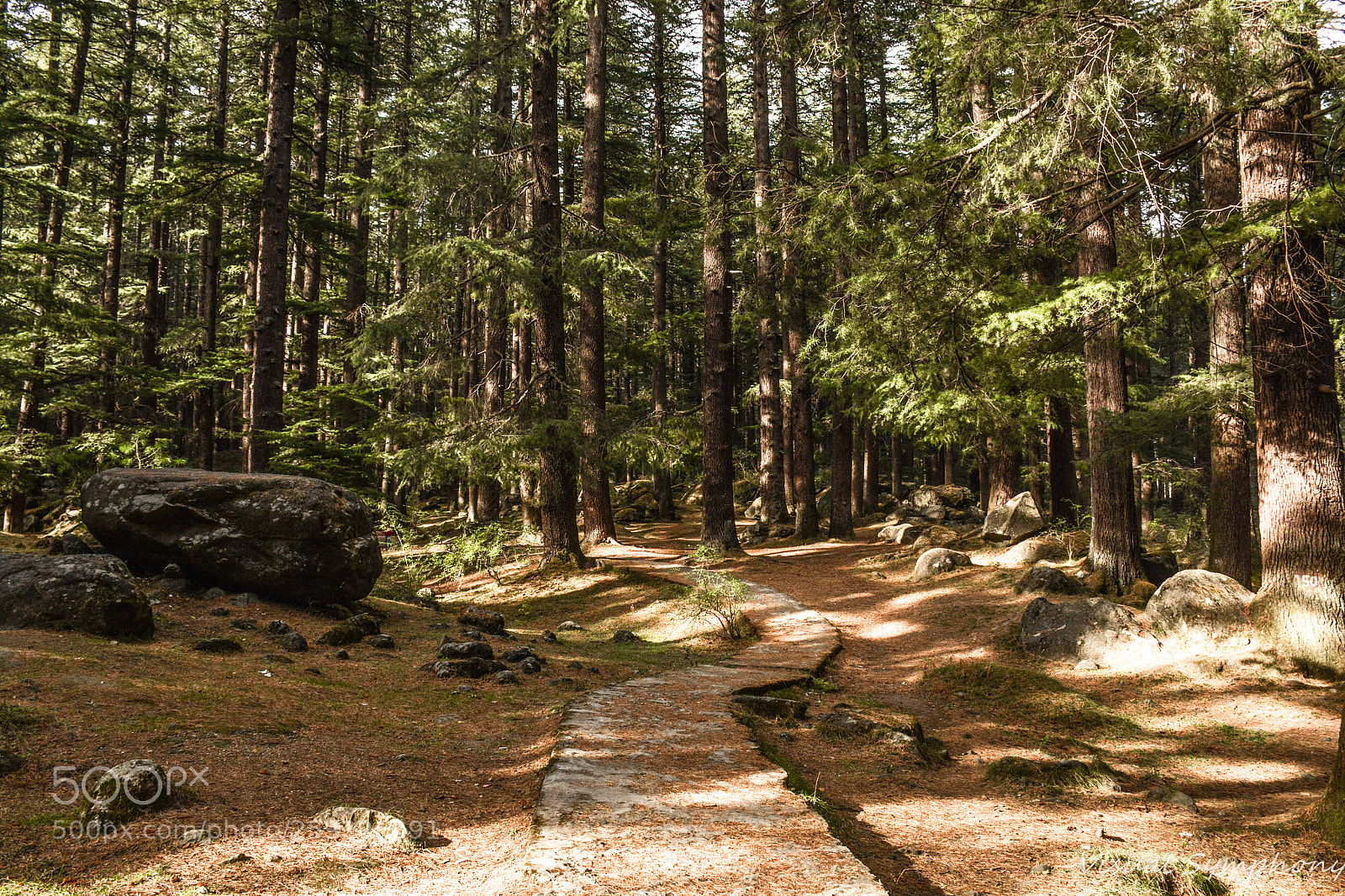 Nikon D5200 sample photo. Nature walk photography