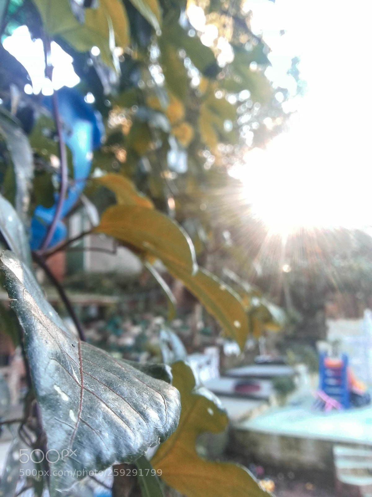 Samsung Galaxy Note2 sample photo. Untitled photography