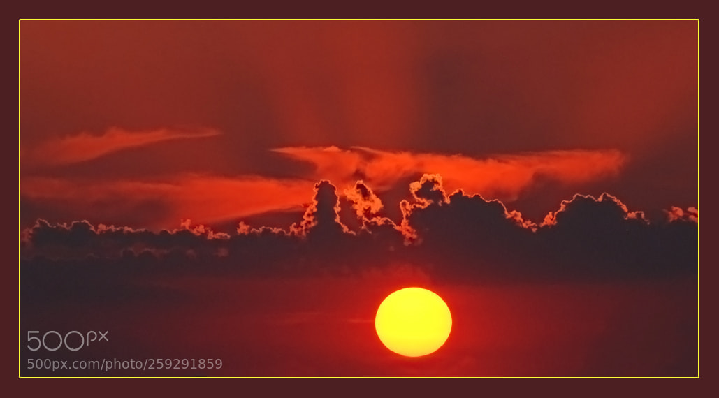 Nikon D200 sample photo. Beautiful sunset. photography