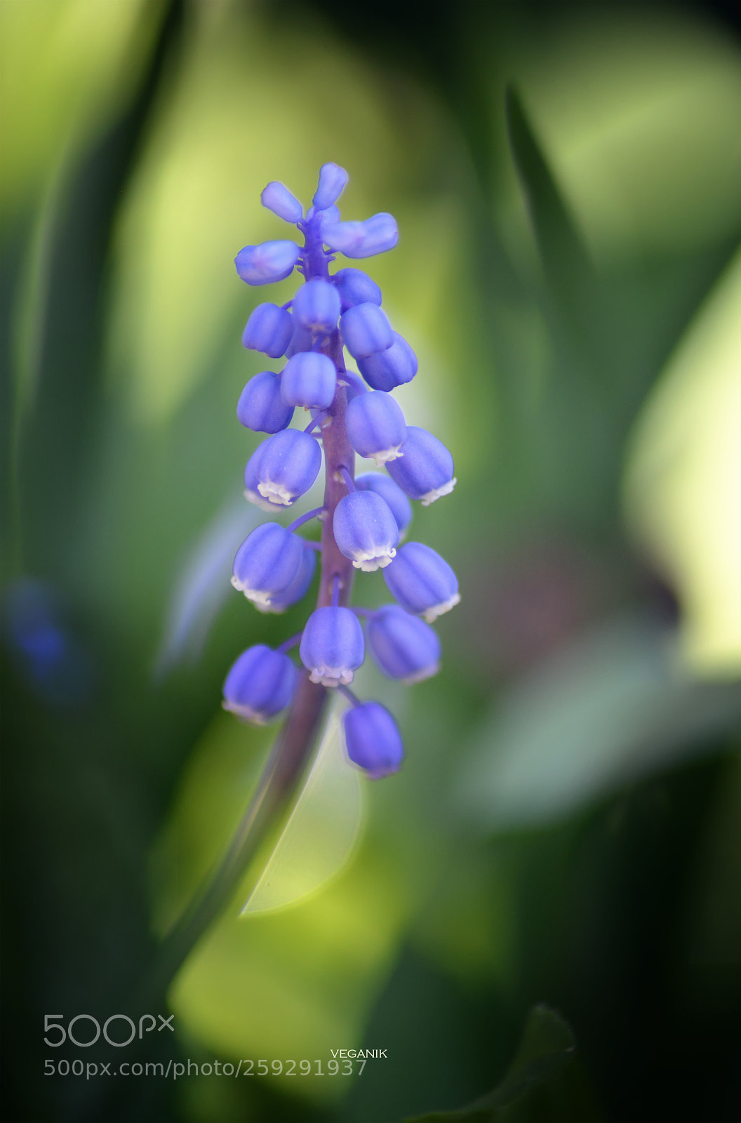 Nikon D3200 sample photo. ... photography