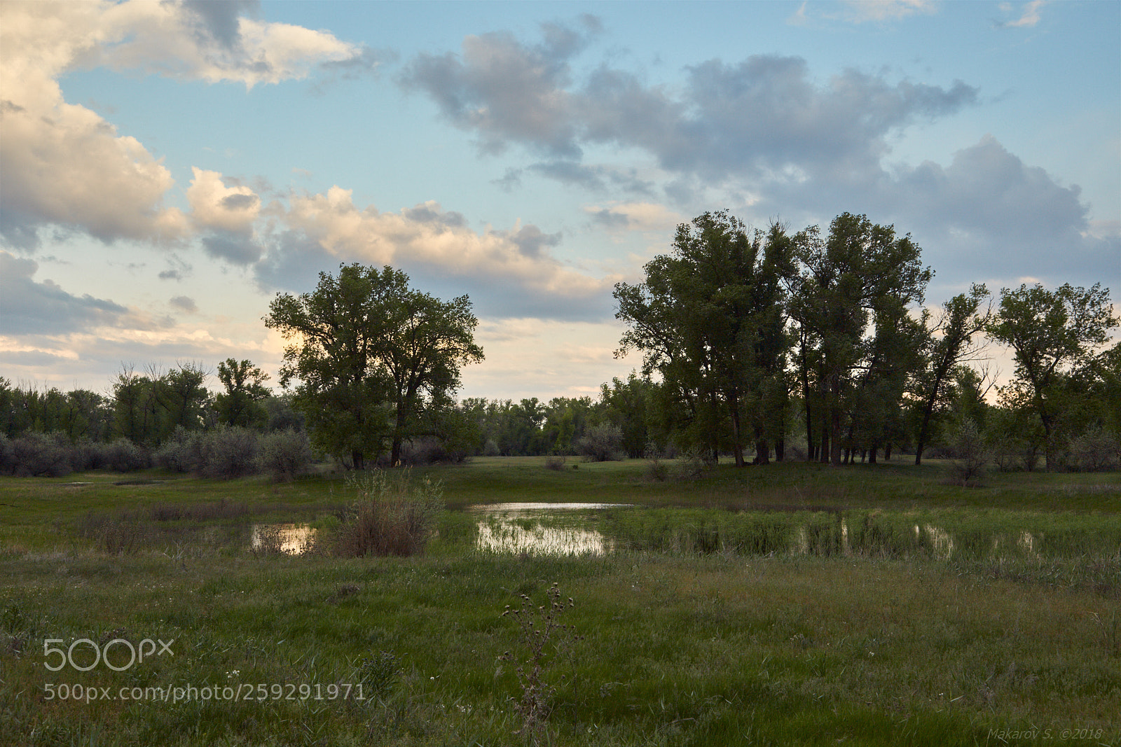 Canon EOS 6D sample photo. The volga-akhtuba floodplain photography