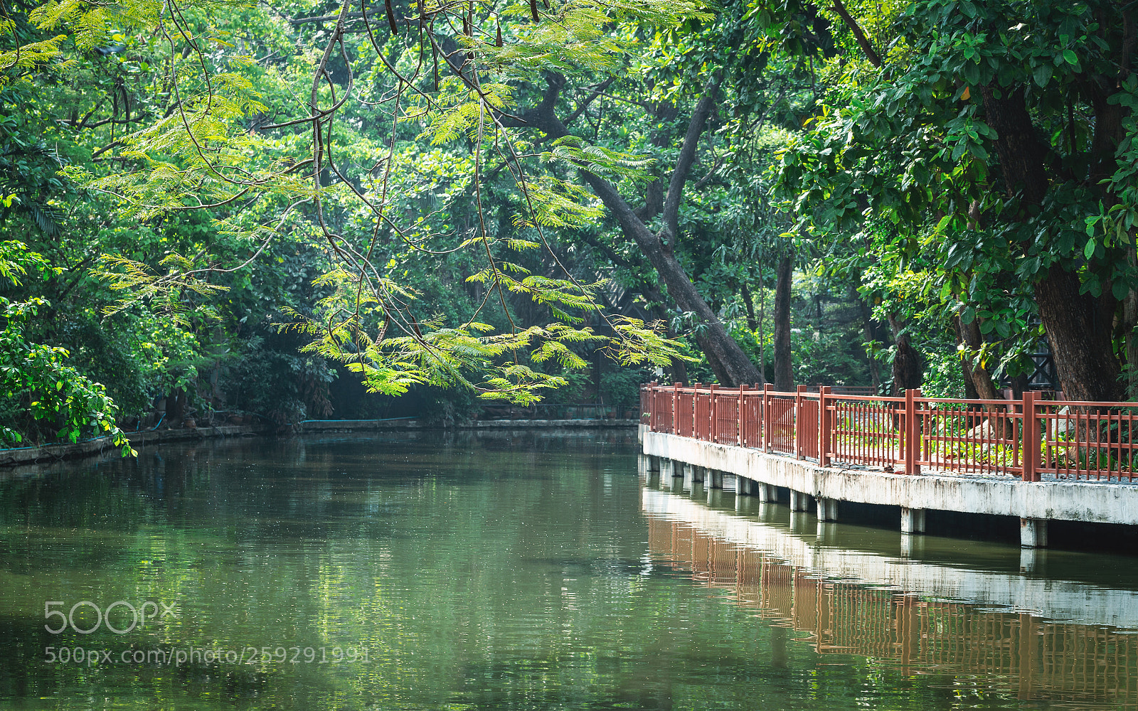 Canon EOS 6D sample photo. Canal inside green public photography