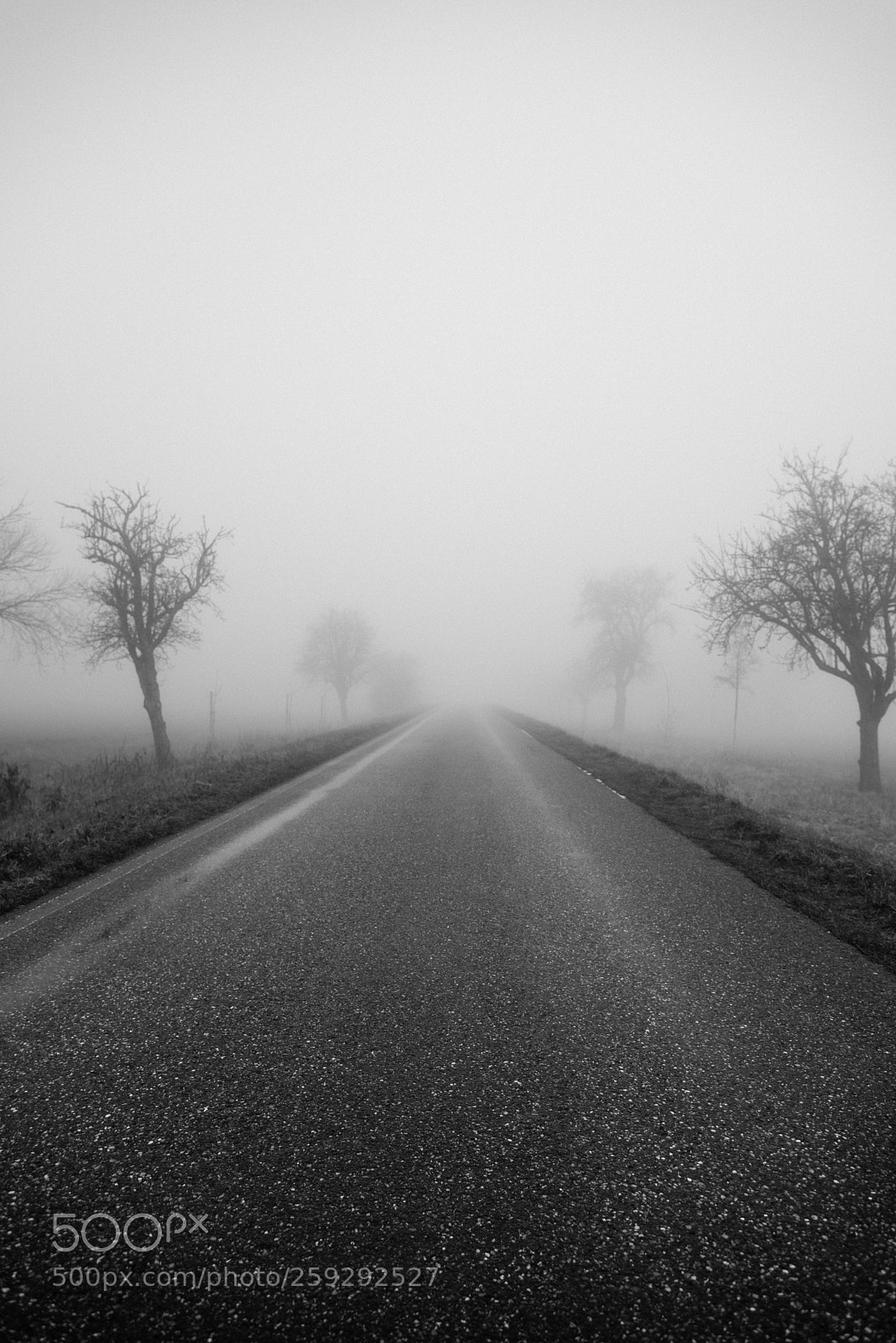 Nikon D750 sample photo. Foggy street photography