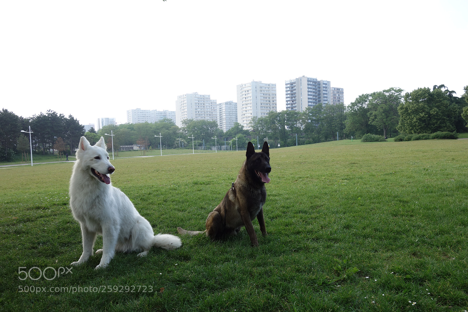 Sony Cyber-shot DSC-RX100 sample photo. Zeus et jana photography