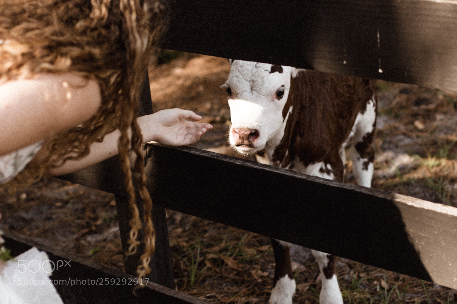 Canon EOS 7D Mark II sample photo. Untitled photography