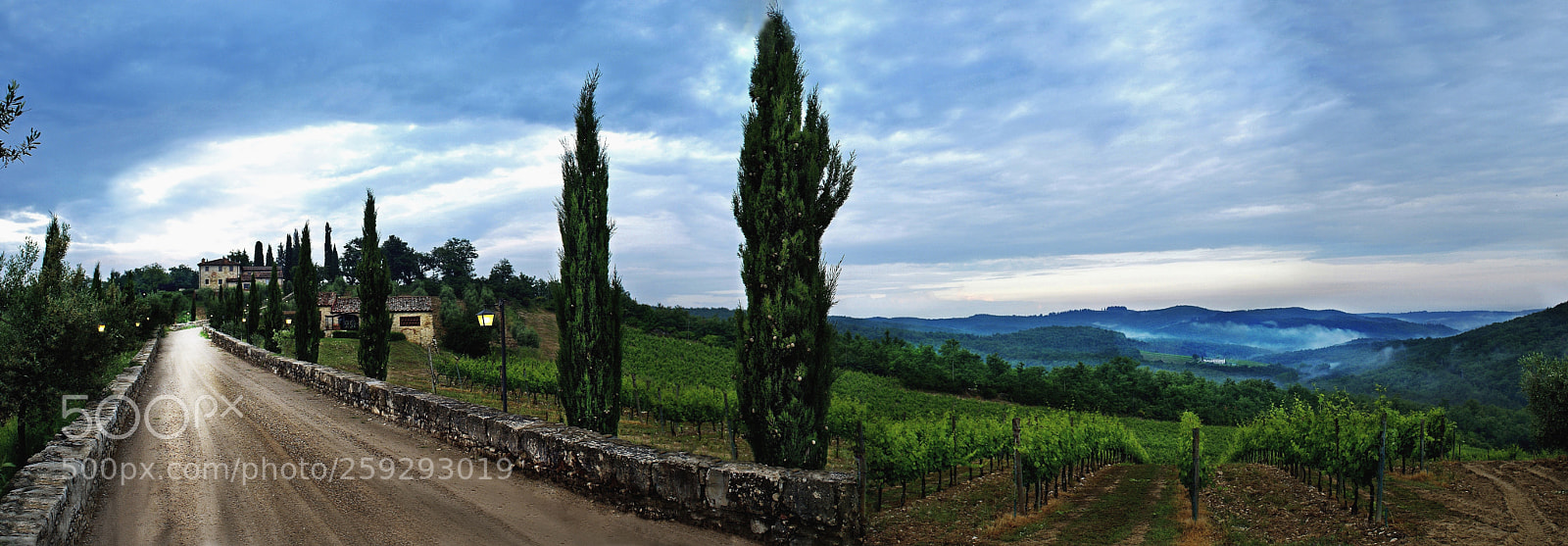 Sony Alpha DSLR-A100 sample photo. Vinyard road - tuscany photography