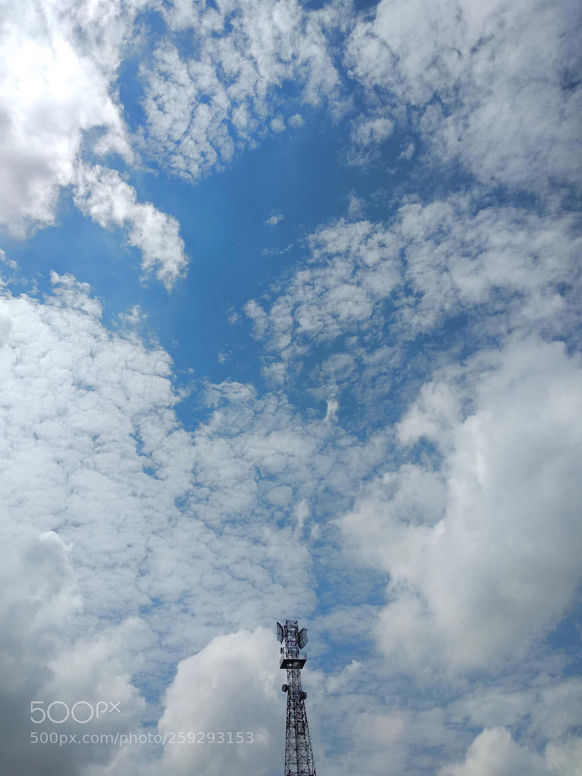 Xiaomi Mi A1 sample photo. Untitled photography
