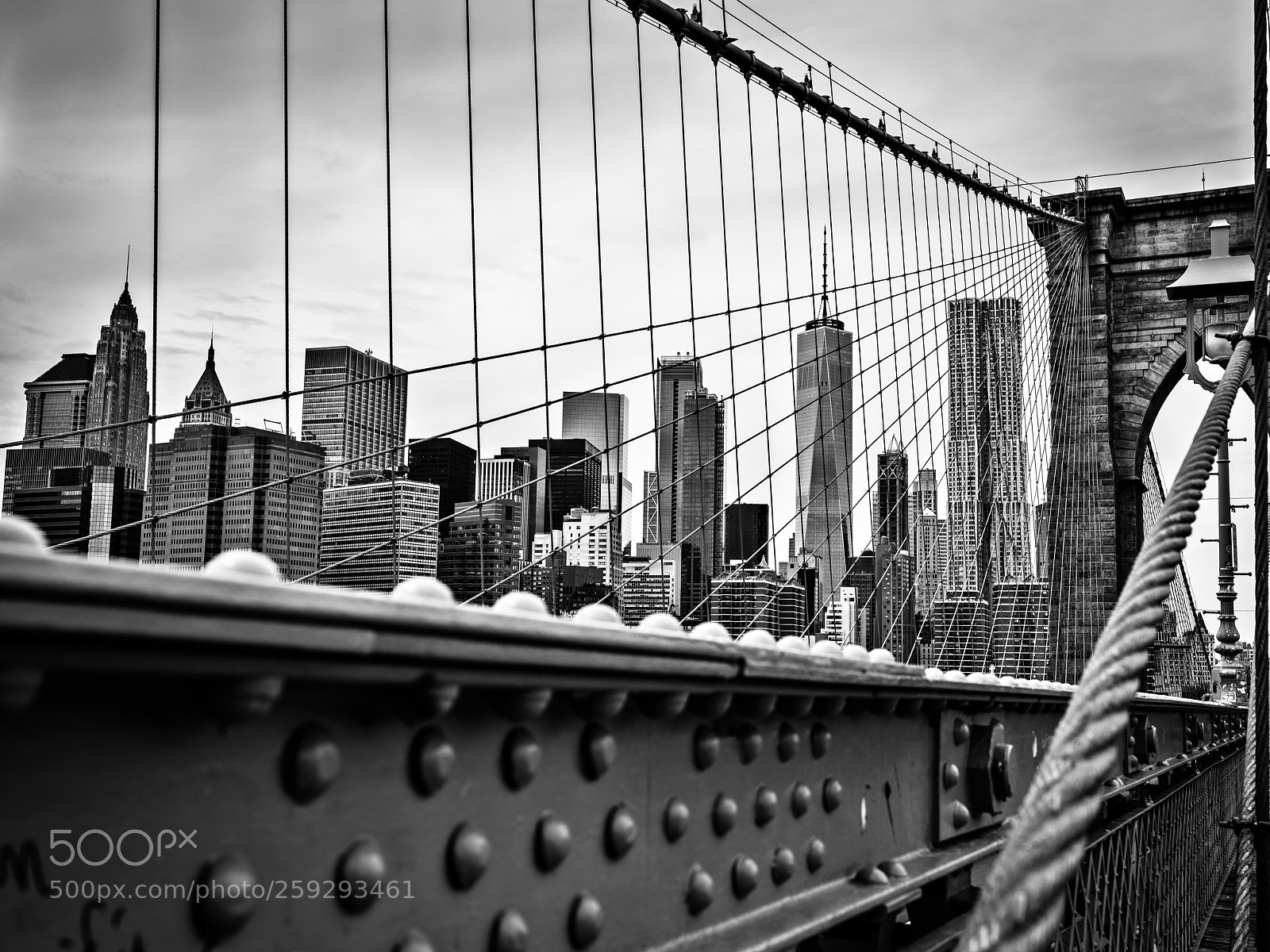 Fujifilm GFX 50S sample photo. Spiderman is in town photography