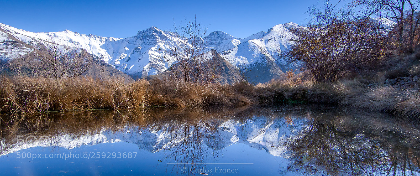 Canon EOS 7D Mark II sample photo. El mule y la photography
