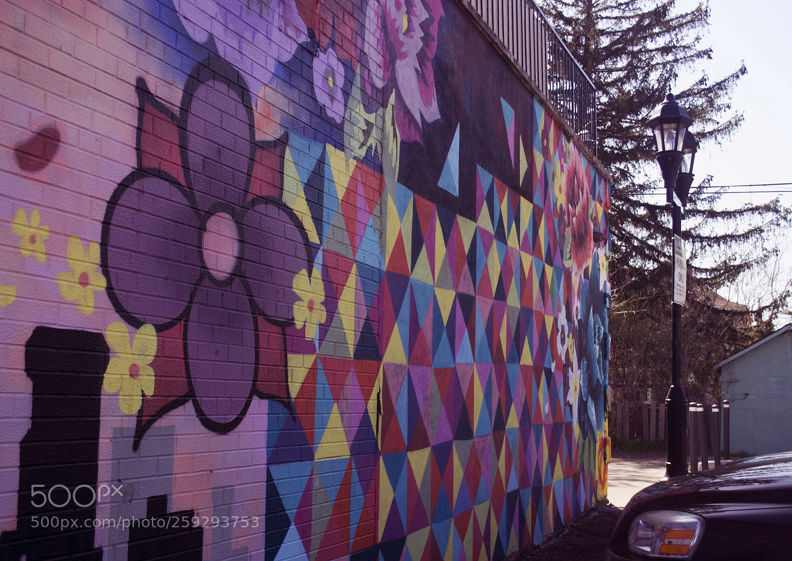 Nikon D3100 sample photo. My choice (street art) photography
