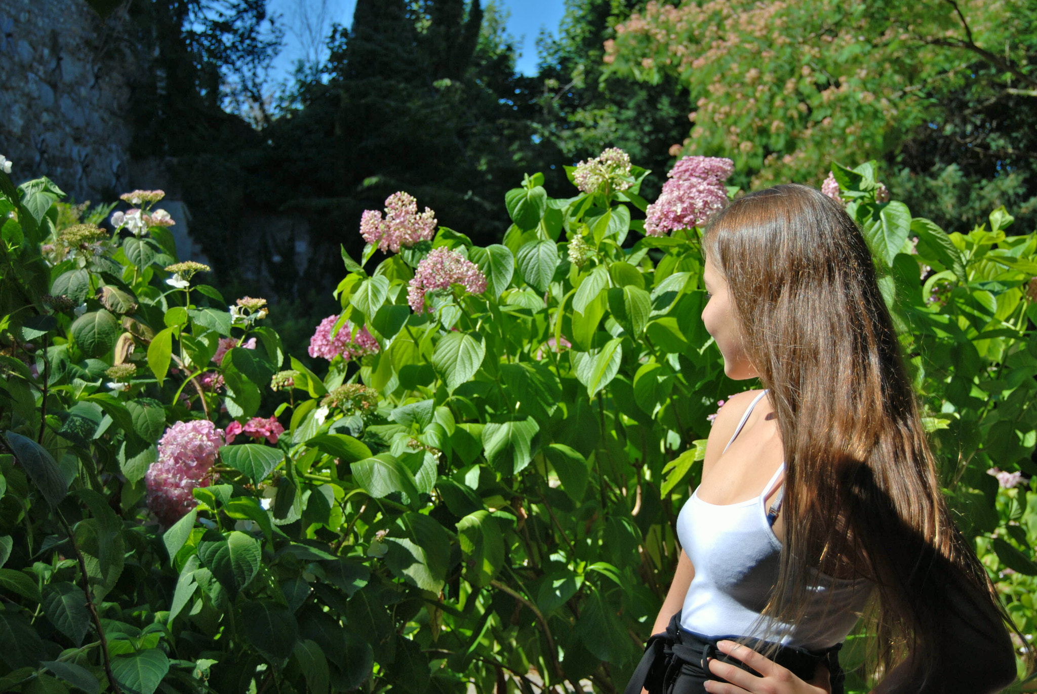 Nikon D40X sample photo