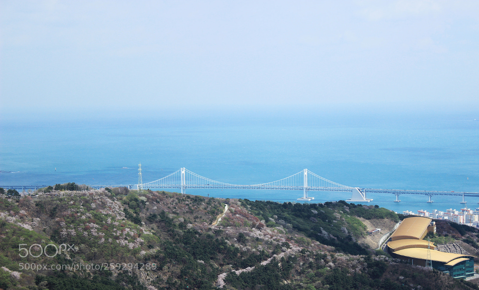 Canon EOS 600D (Rebel EOS T3i / EOS Kiss X5) sample photo. Busan photography