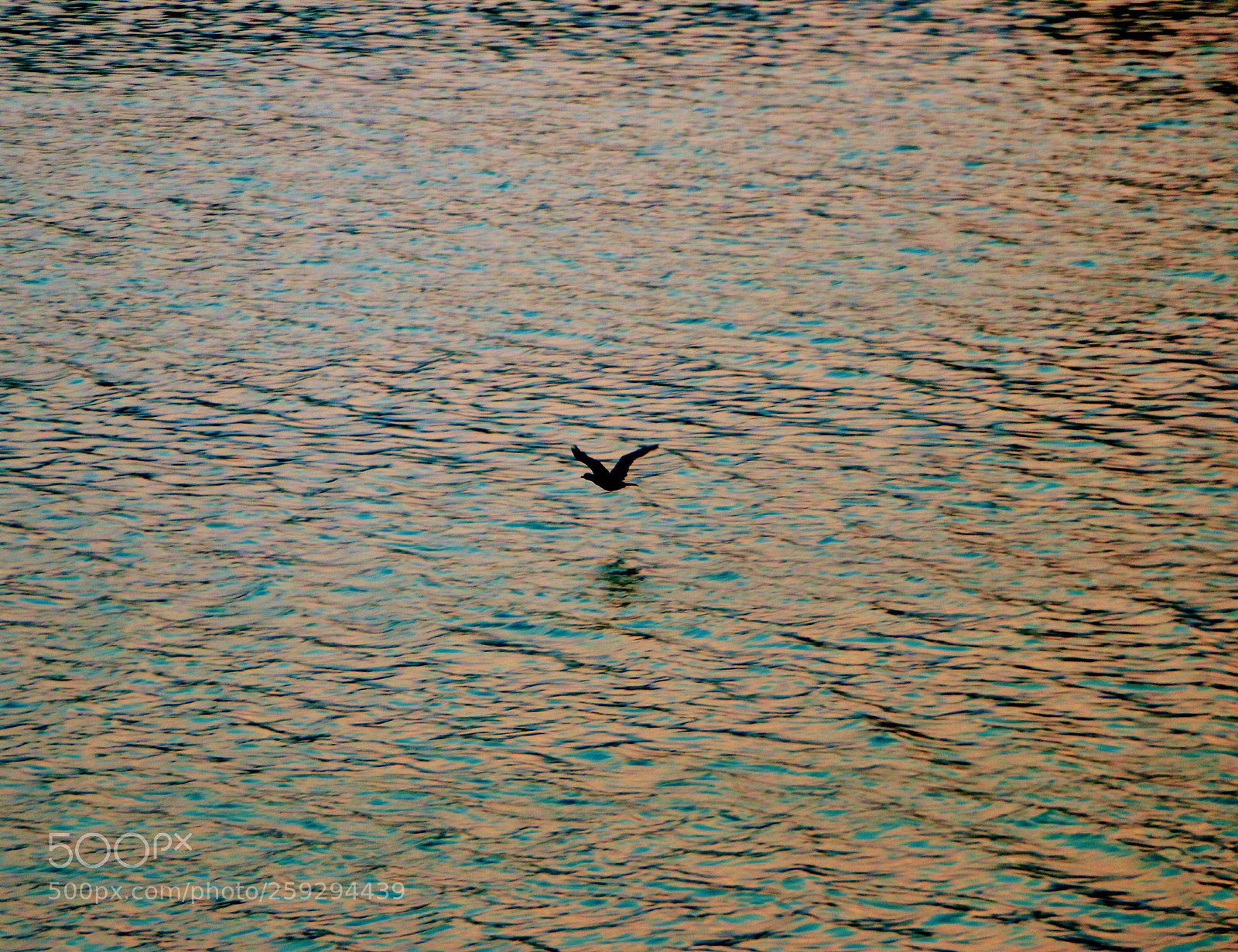 Canon EOS 70D sample photo. Untitled photography