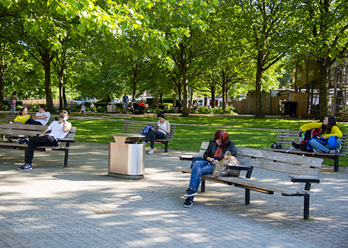 Nikon D600 sample photo. South bank photography