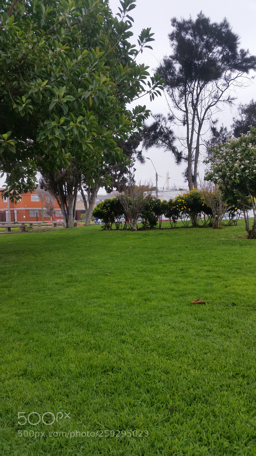 Samsung Galaxy S5 sample photo. Untitled photography