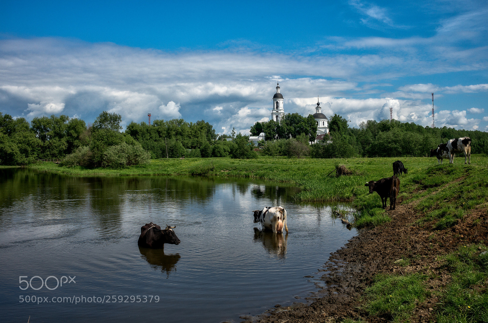 Leica M (Typ 240) sample photo. Filippovo village photography