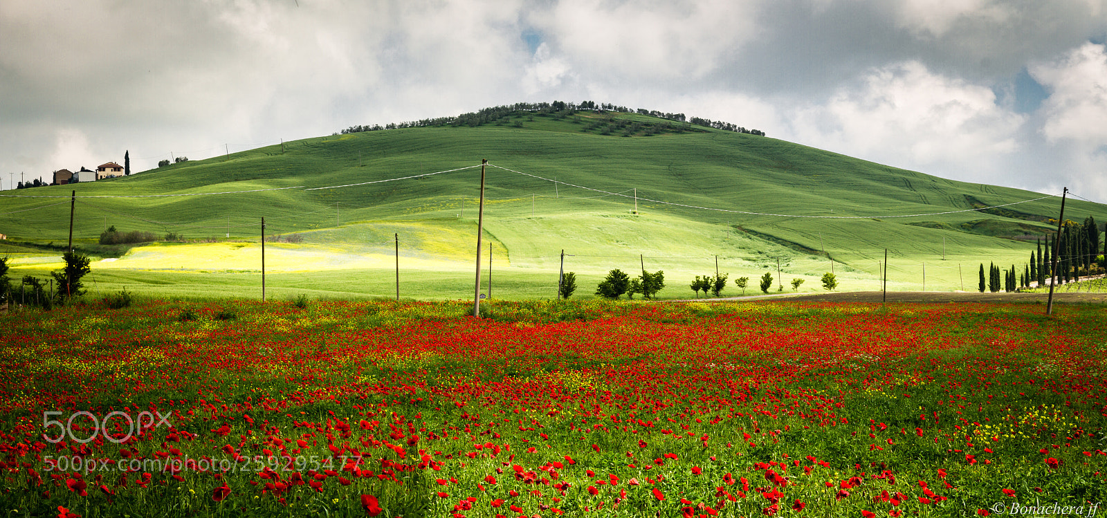 Canon EOS 7D sample photo. Poppies field in val photography