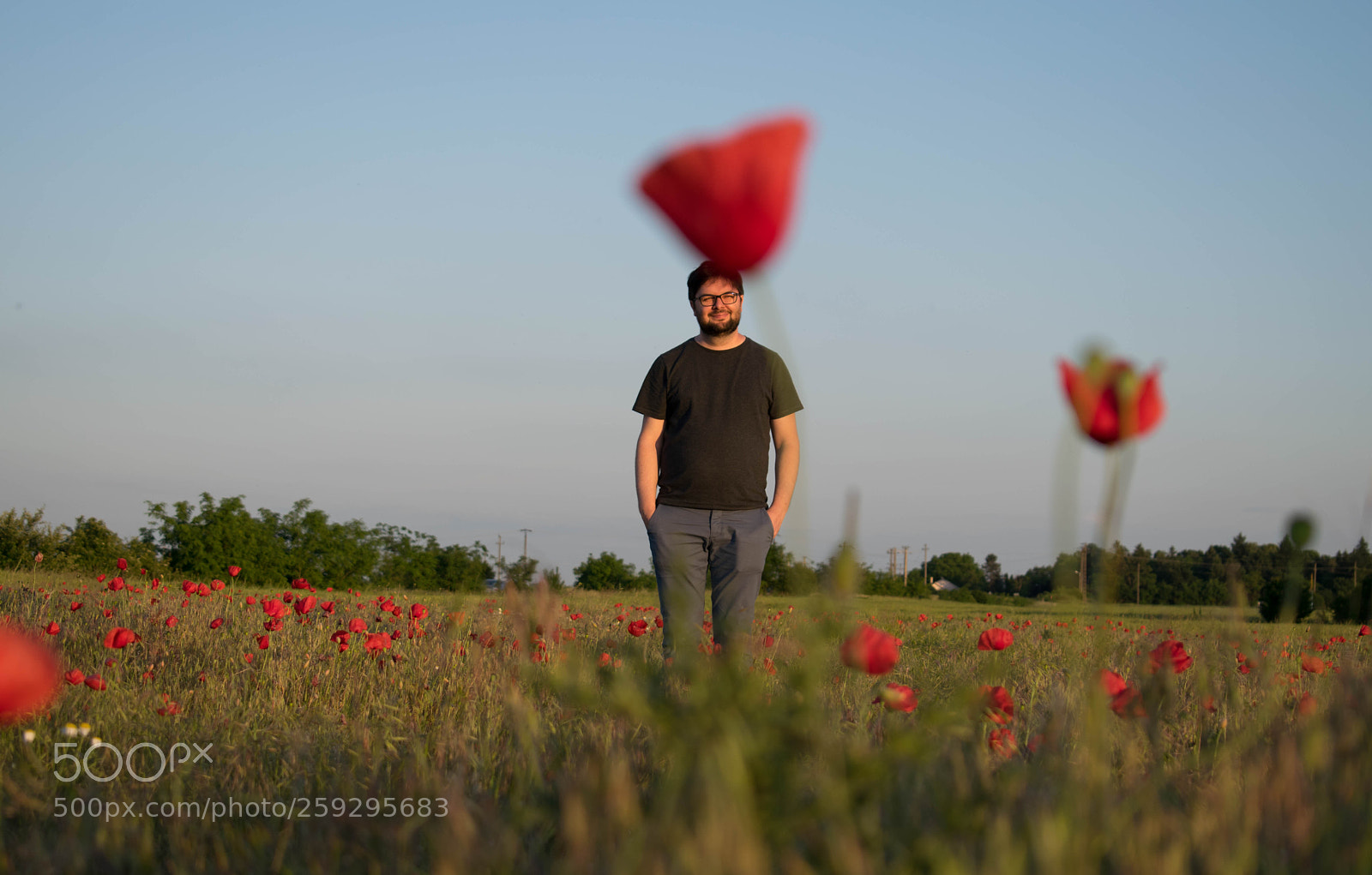 Nikon D5300 sample photo. Man in poppy field photography