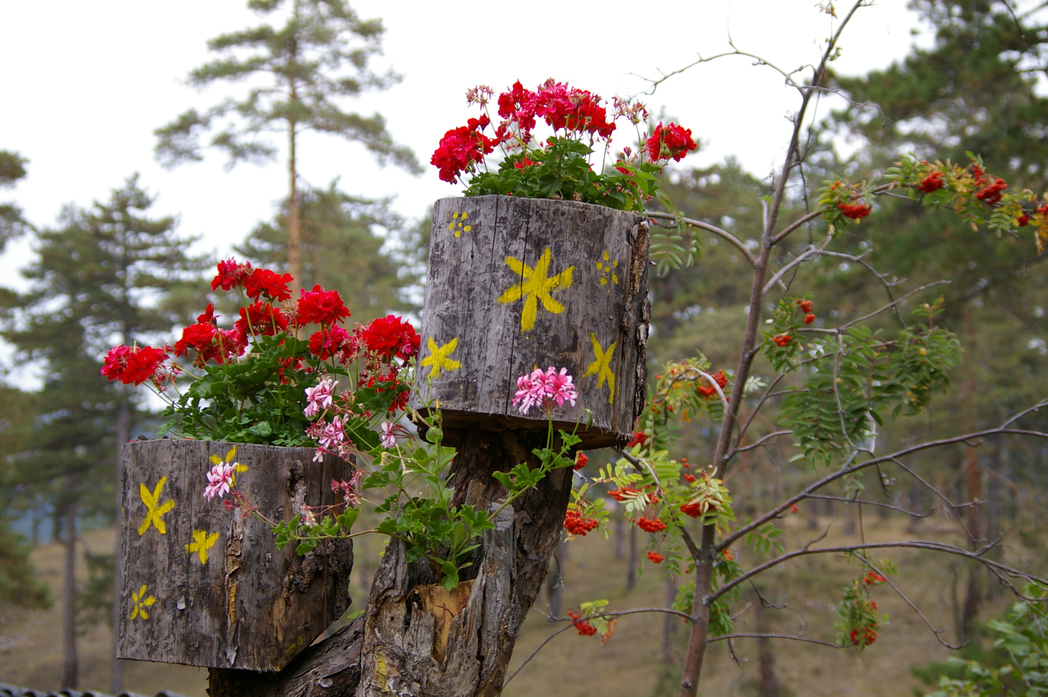 Pentax K100D sample photo. Nature photography