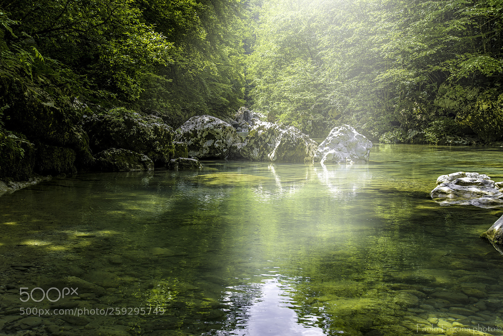 Nikon D610 sample photo. Slovenia.... photography
