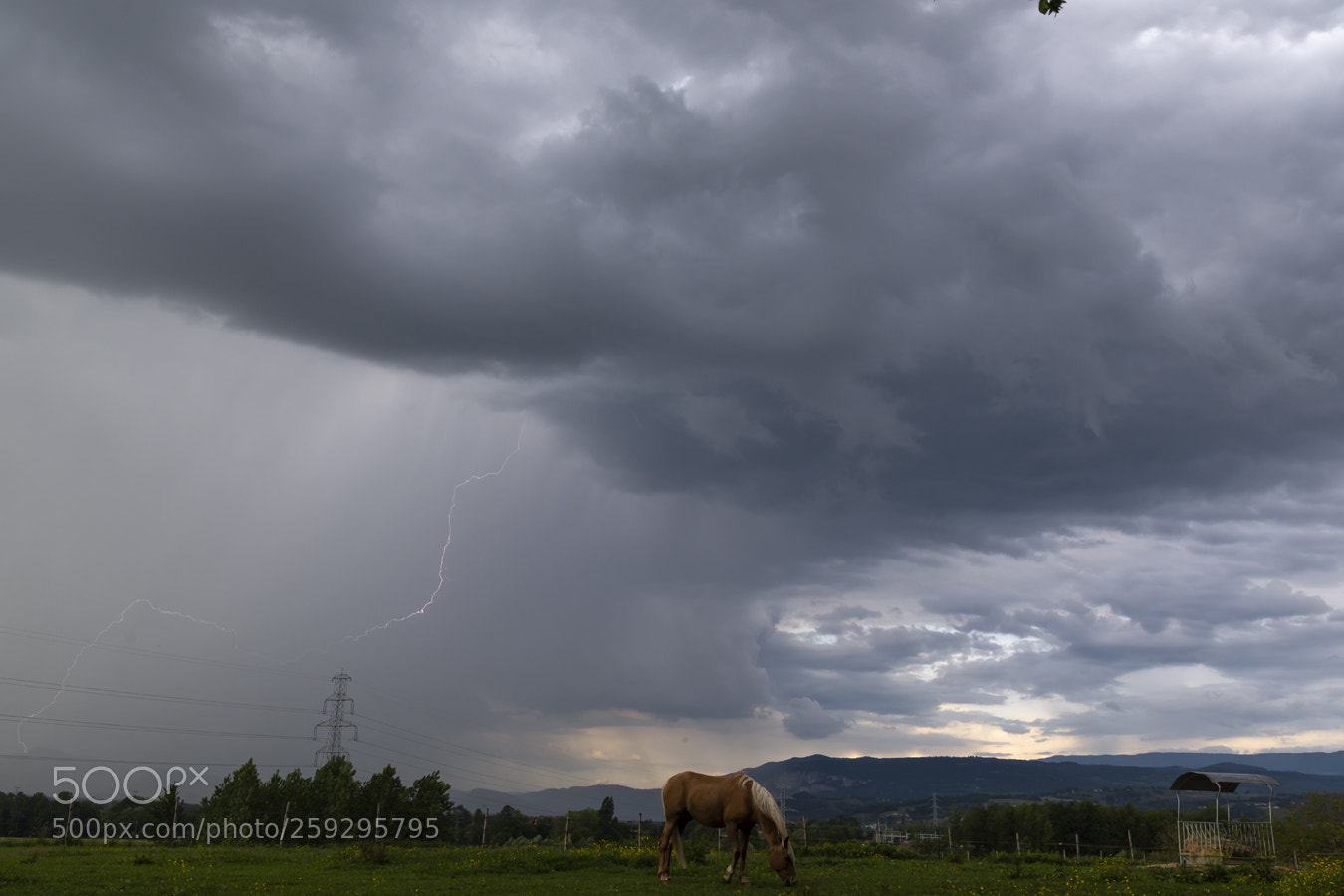 Nikon D7200 sample photo. Foudre avec cheval photography