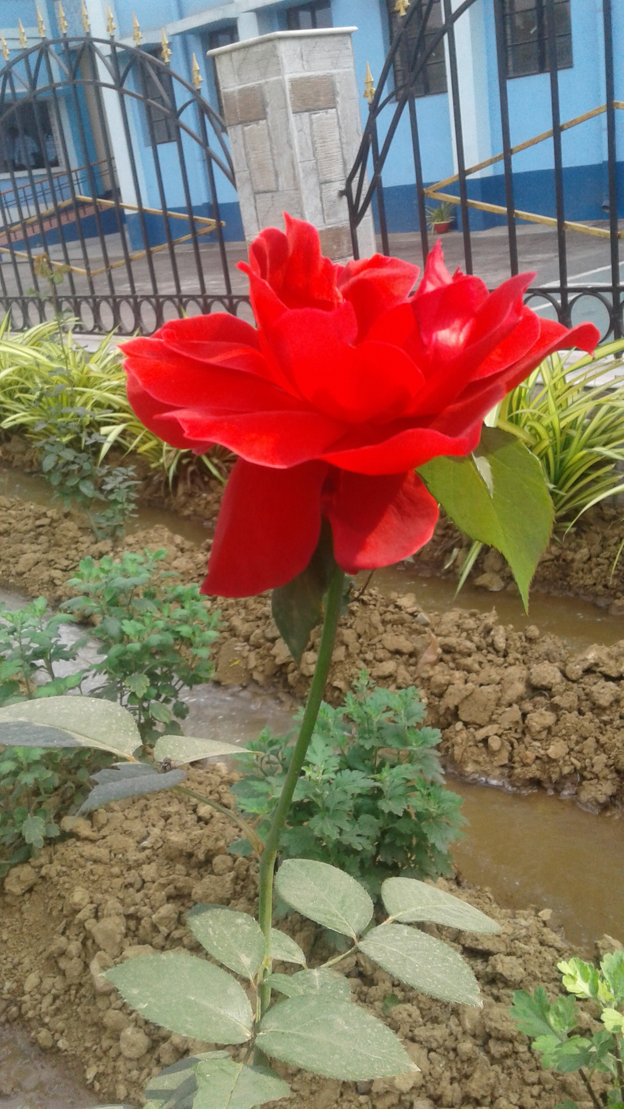Samsung Galaxy J2 sample photo