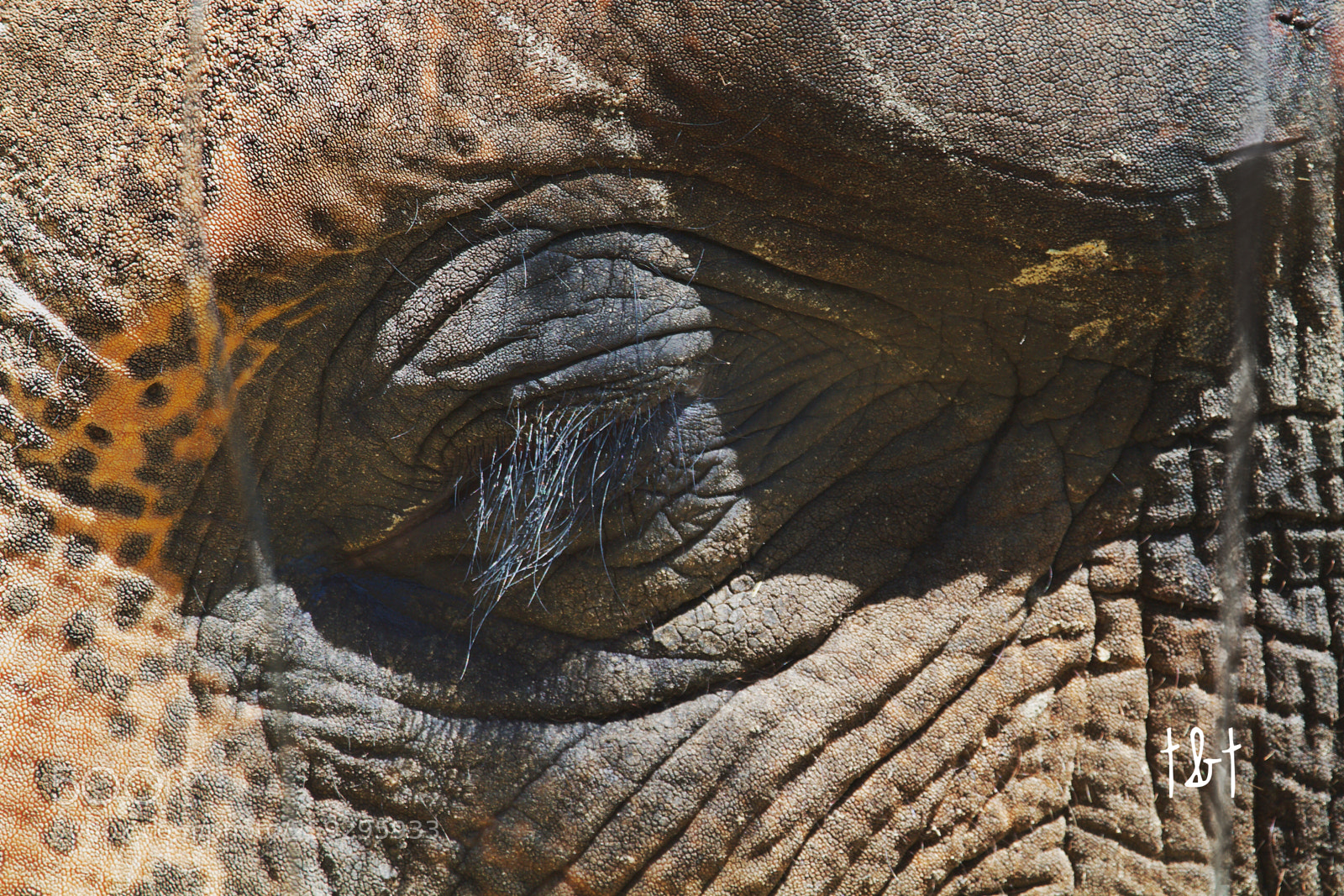 Canon EOS 7D sample photo. Untitled photography
