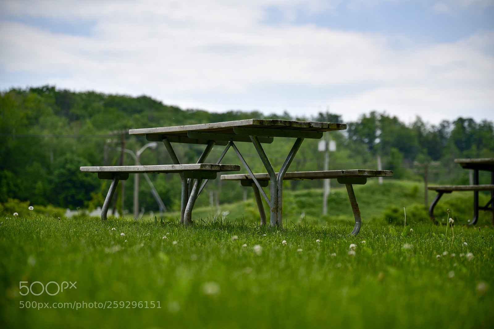 Nikon D810 sample photo. The bench photography