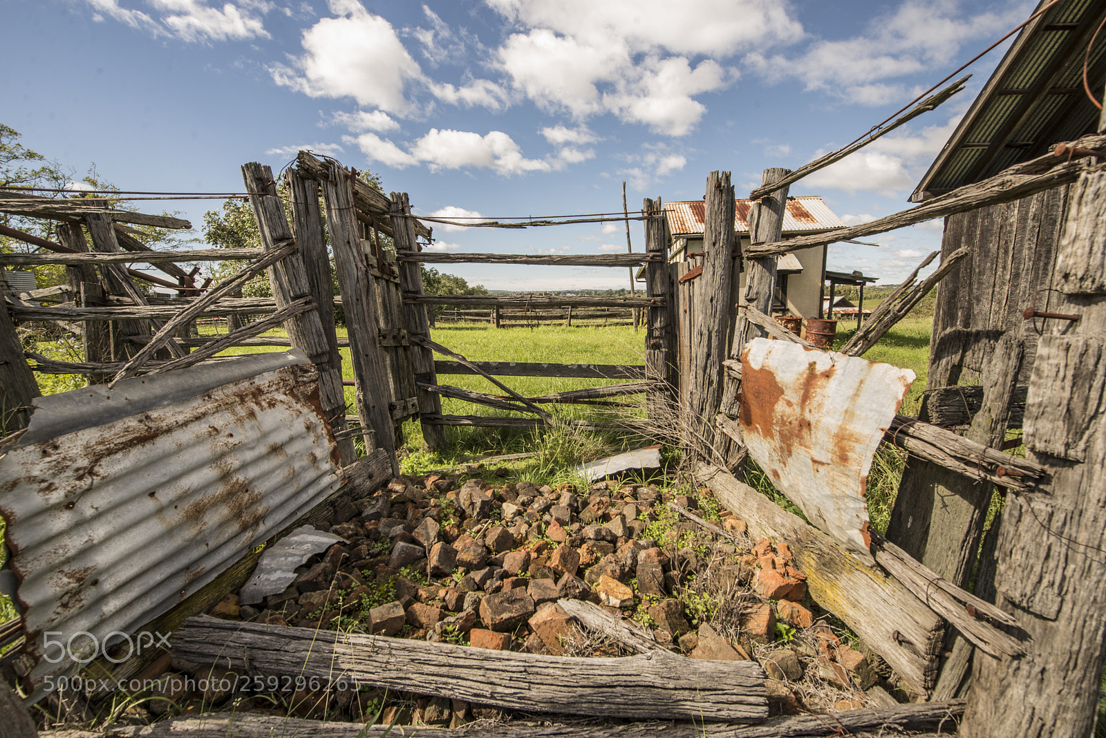 Nikon D600 sample photo. Old fence and a photography