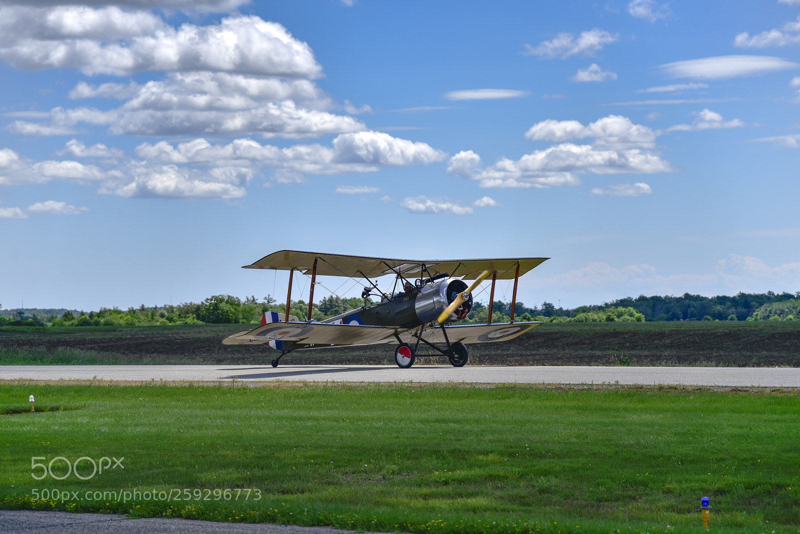 Nikon D810 sample photo. Royal naval air service photography
