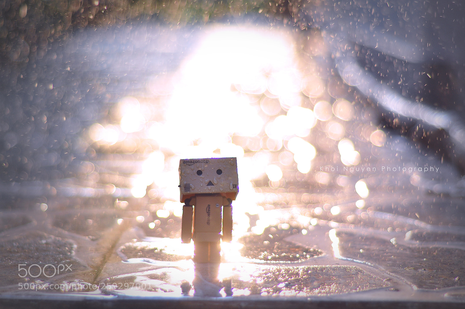 Nikon D90 sample photo. Crying in the rain photography