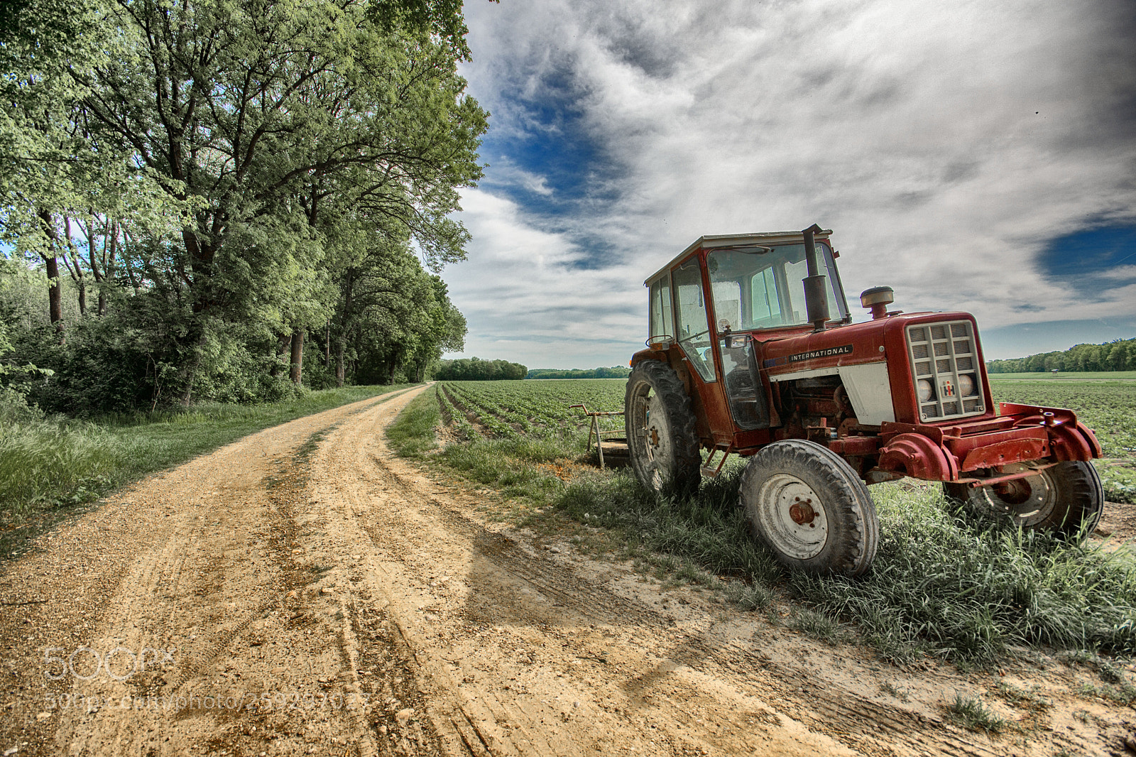 Sony SLT-A65 (SLT-A65V) sample photo. Alter traktor photography