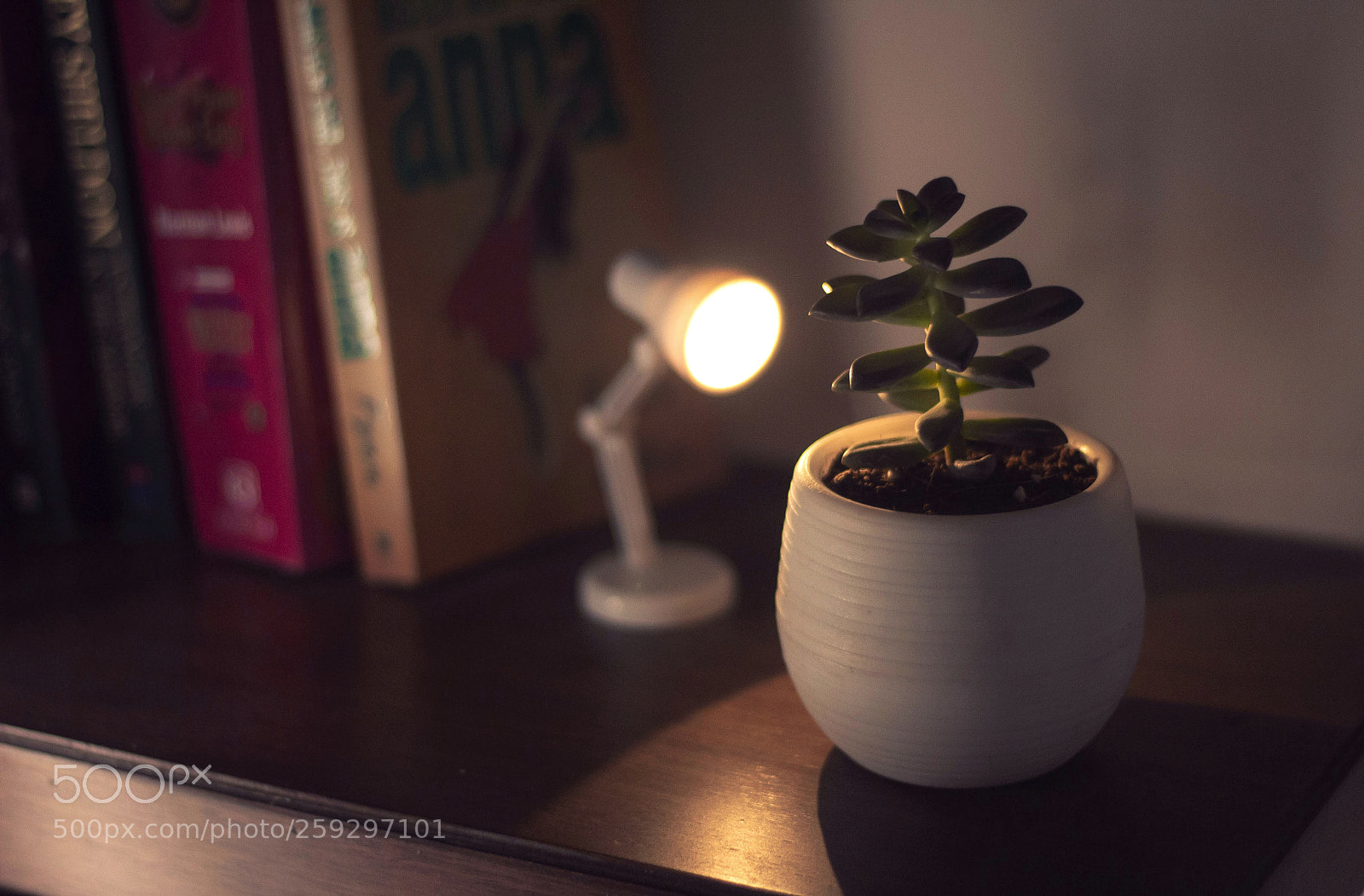 Canon EOS 1200D (EOS Rebel T5 / EOS Kiss X70 / EOS Hi) sample photo. Little things photography